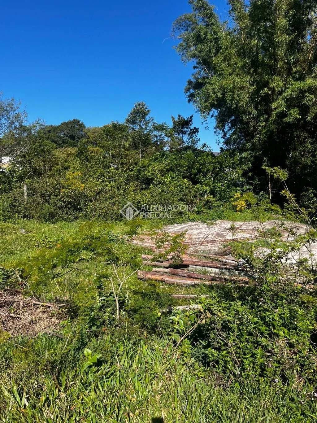 Imóvel — foto 5