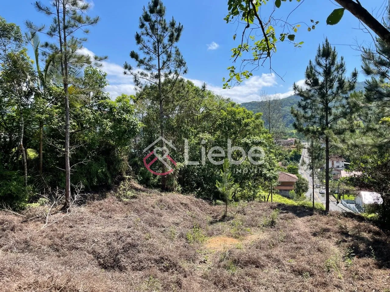 Excelente Terreno na Rota do Enxaimel em Testo Alto na cidade de Pomerode com 23.023,00m. - foto 1