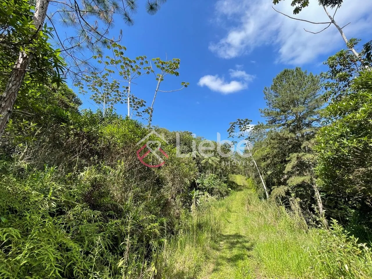 Oportunidade de terreno na Rota do Enxaimel em Testo Alto na cidade de Pomerode com 7.902,00m com frente de 203,41 metros. - foto 1