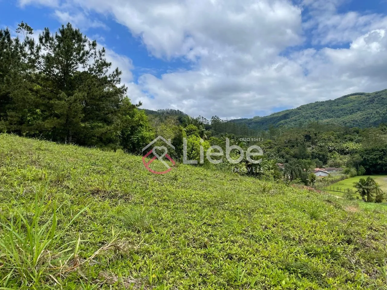 Terreno único no Bairro Ribeirão Herdt na cidade de Pomerode com 3.383,14m, fazendo frente em 25,00 metros. - foto 1