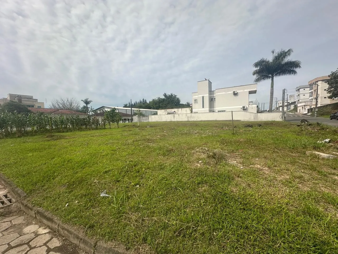 Terreno 931,23 m - Figueira — foto 3