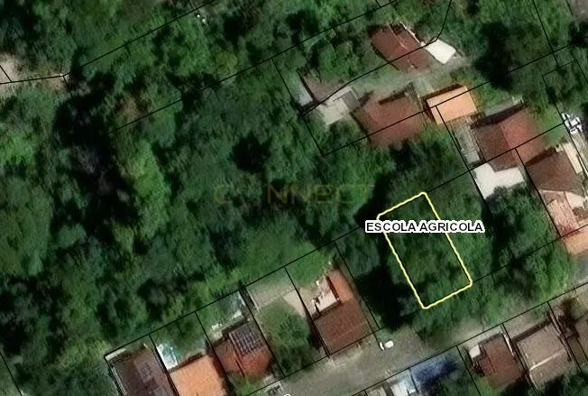 Terreno com 460m2 Na Ecola Agricola — foto 3