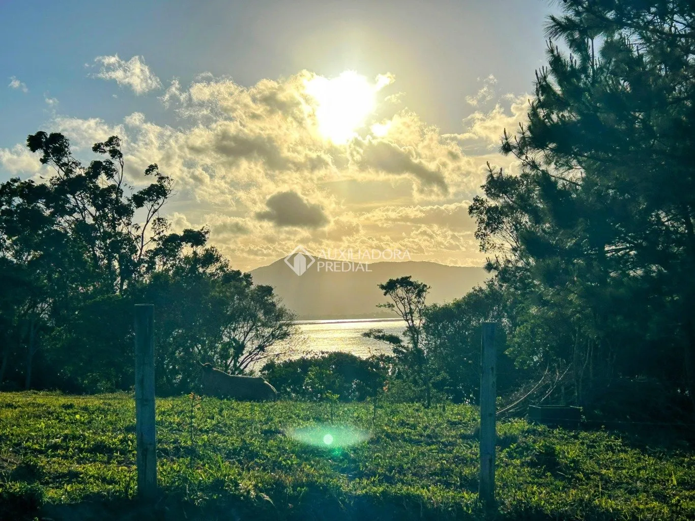 Imóvel - foto 1