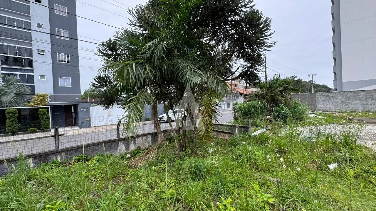 Terreno com 1006,82m à venda no bairro Costa e Silva em Joinville-SC por R$1.300.000,00. — foto 4