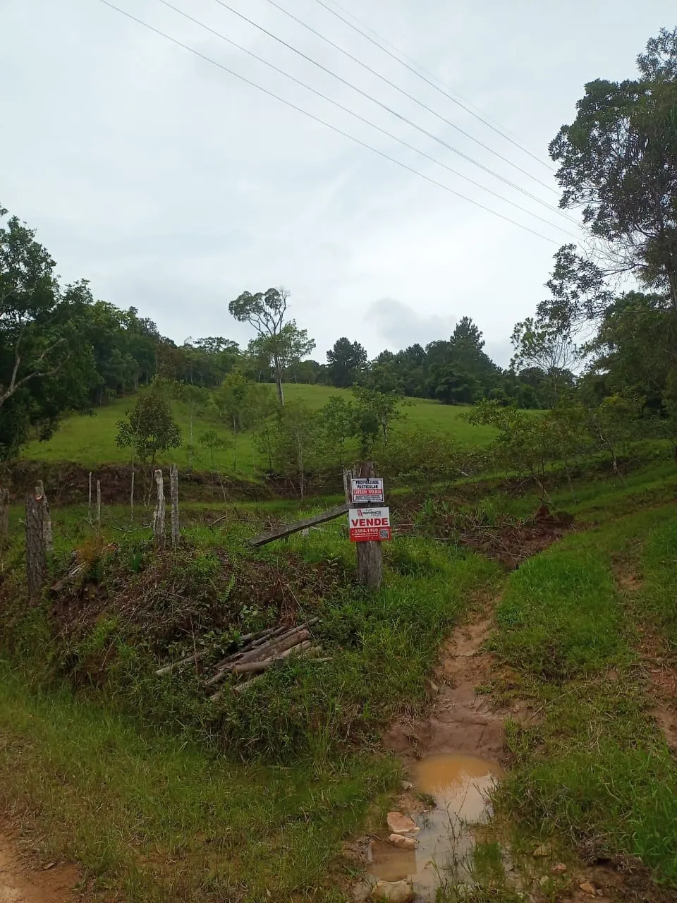 Lindo Sitio com pastagem, água corrente e plano - foto 1