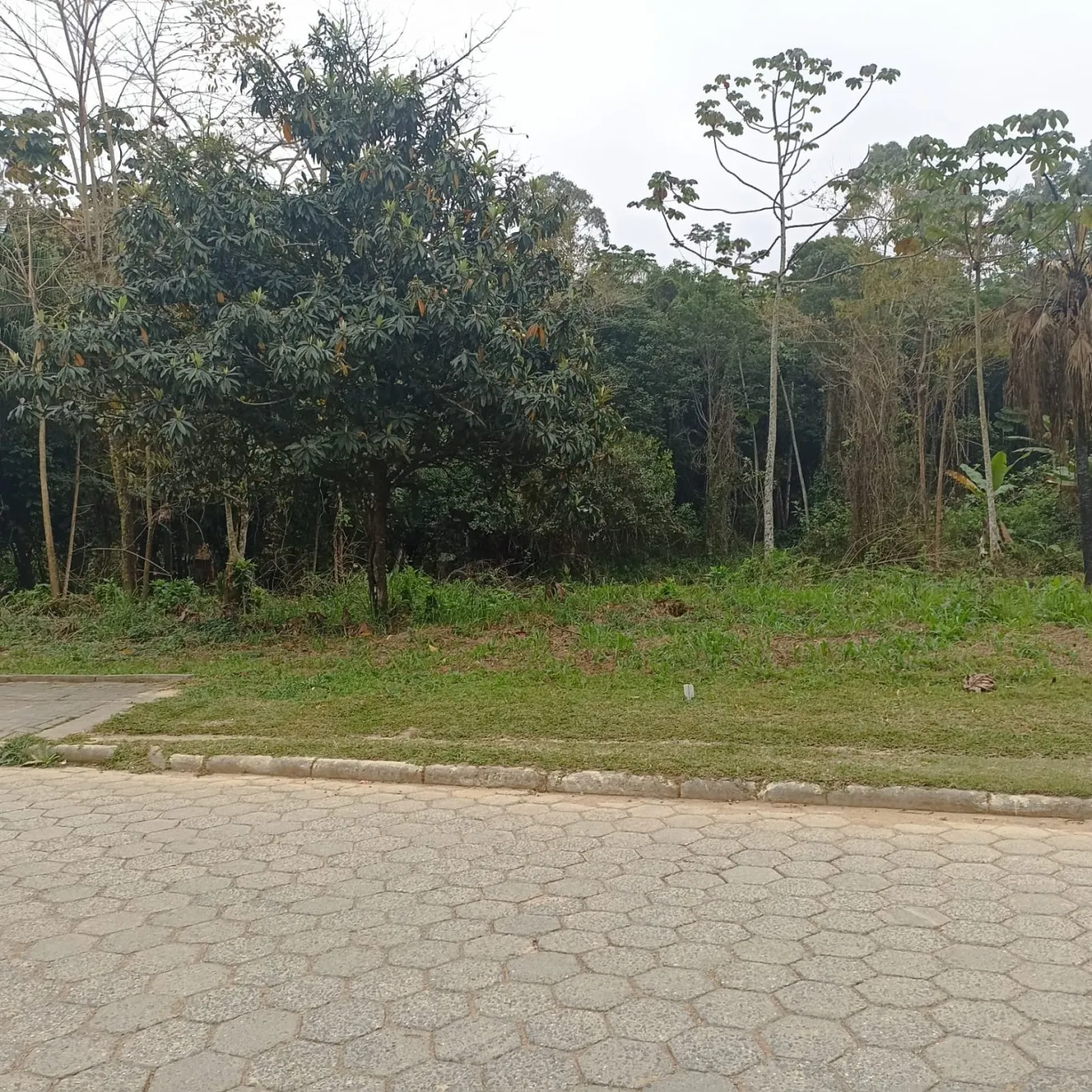 Terreno Pronto Para construir - foto 1