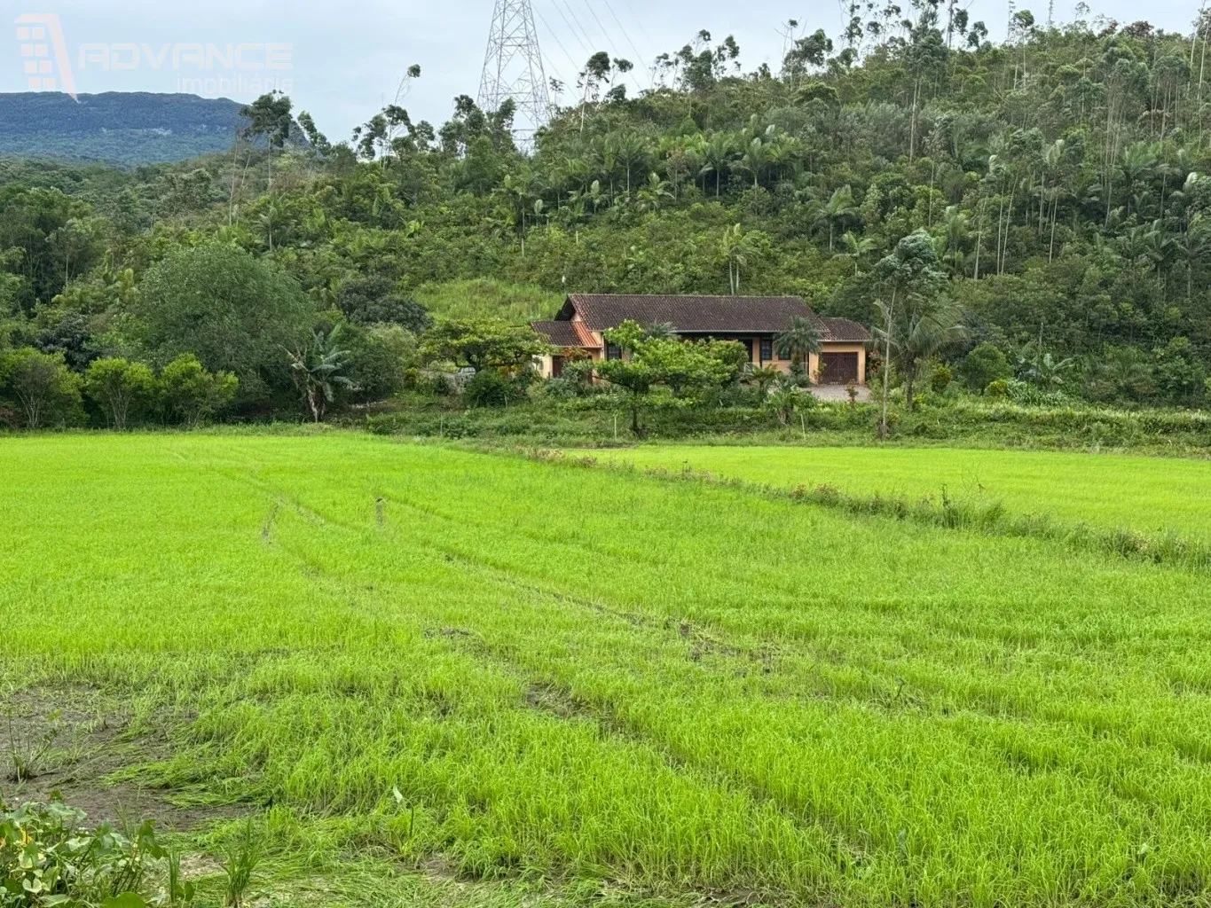 VENDE | Sítio em Ascurra/SC - foto 1