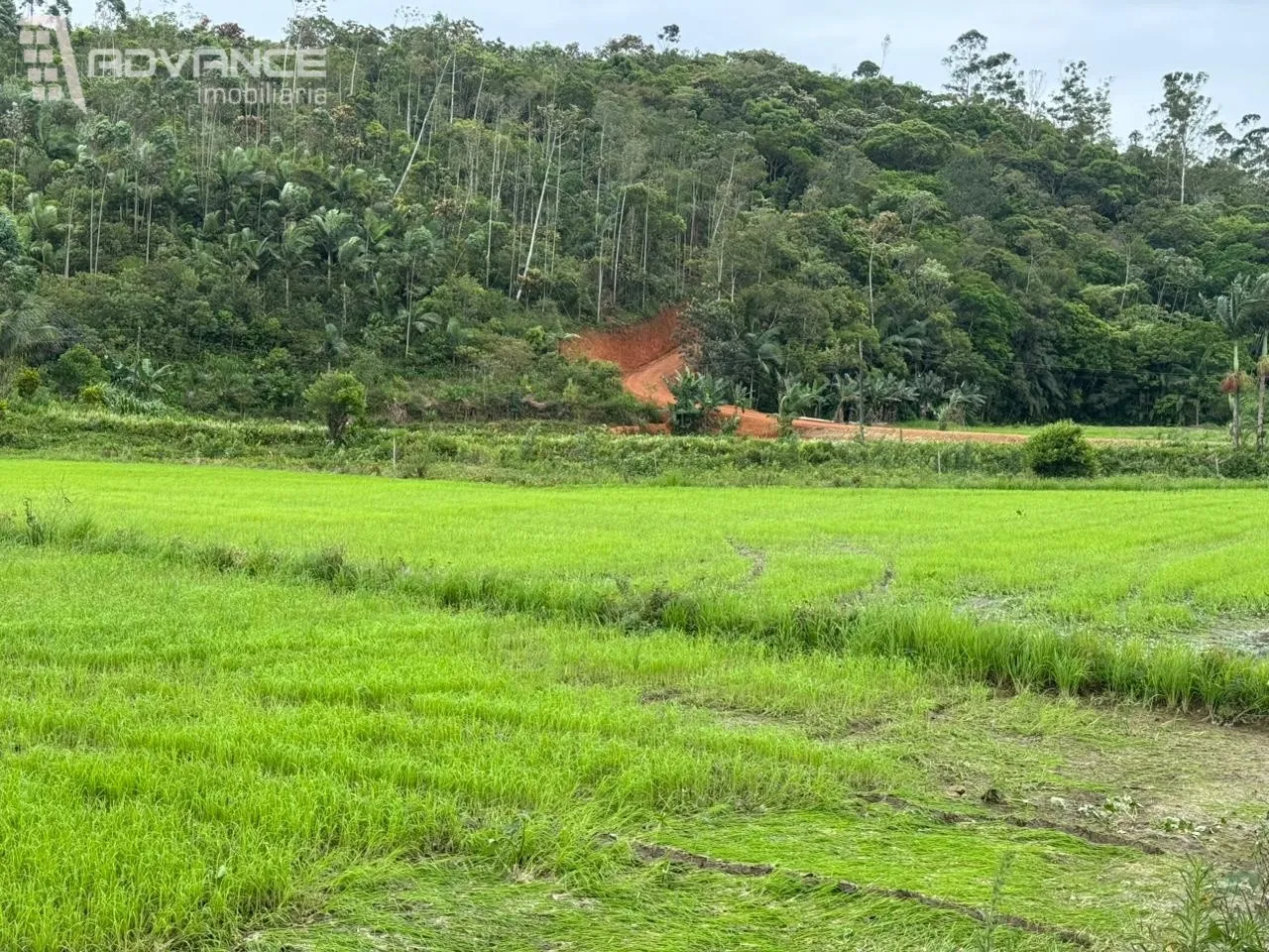 VENDE | Sítio em Ascurra/SC — foto 3