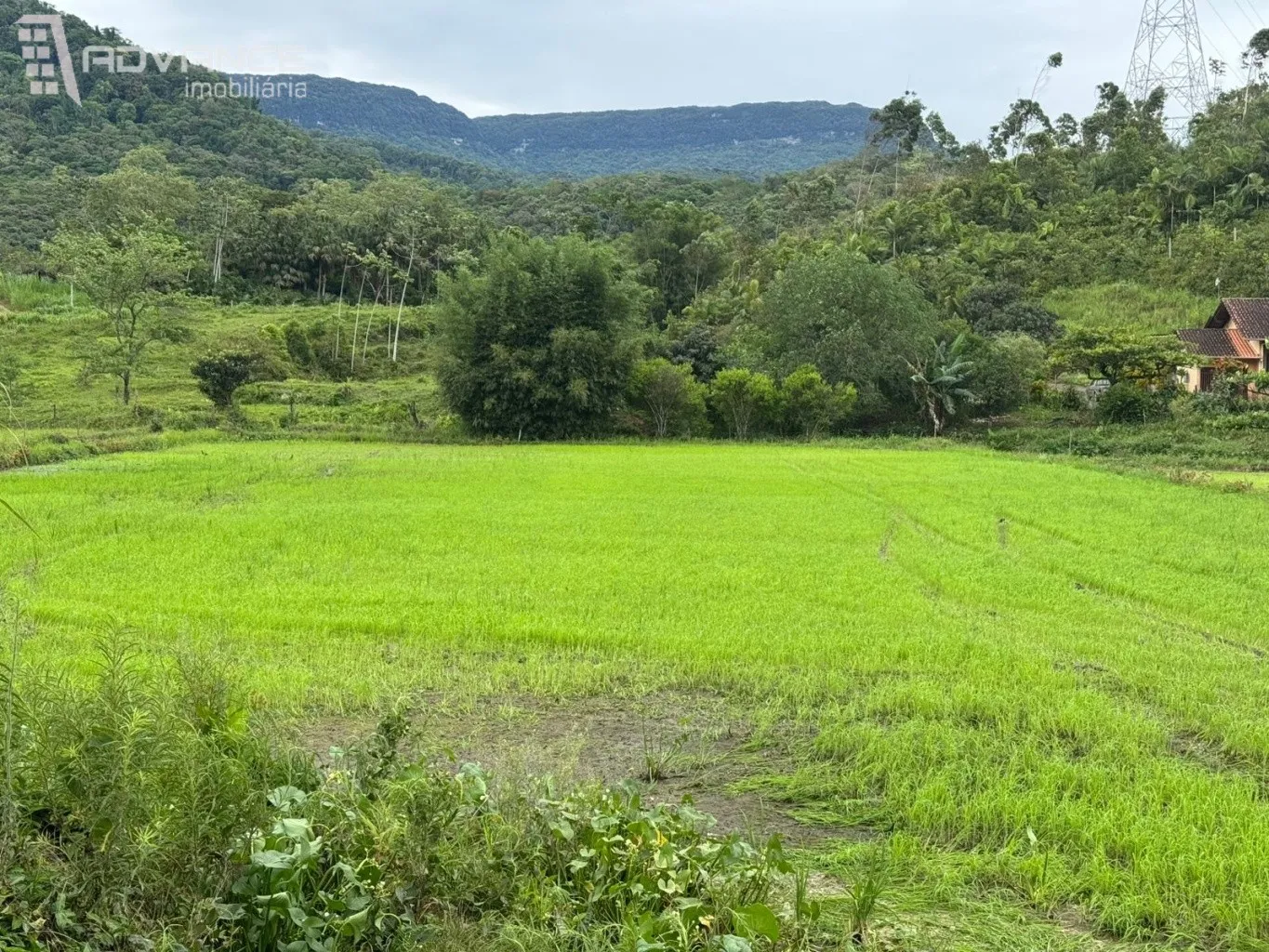 VENDE | Sítio em Ascurra/SC — foto 4