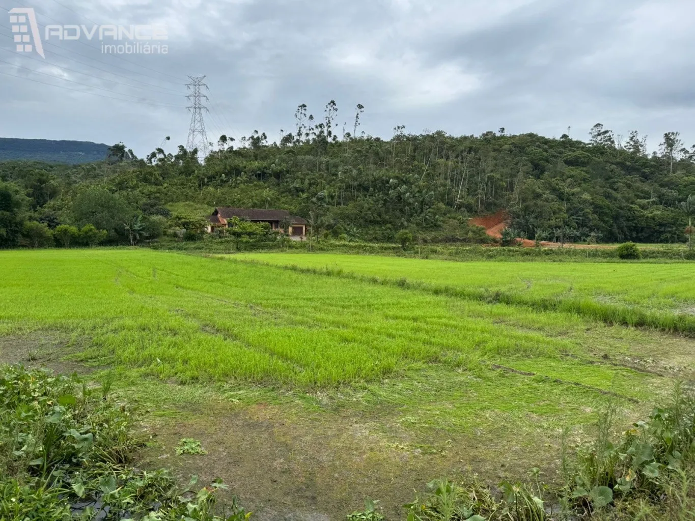 VENDE | Sítio em Ascurra/SC — foto 5