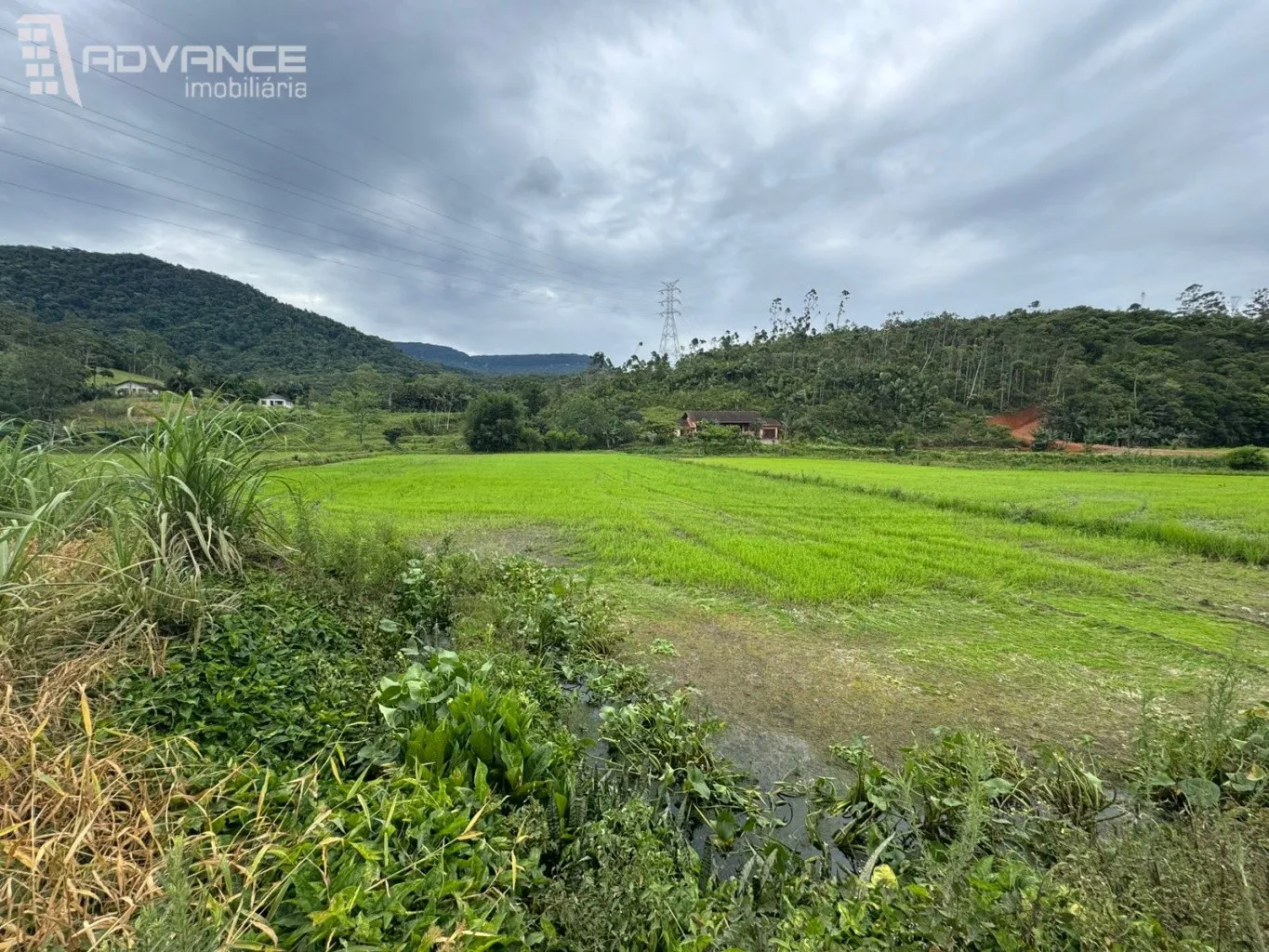 VENDE | Sítio em Ascurra/SC — foto 6