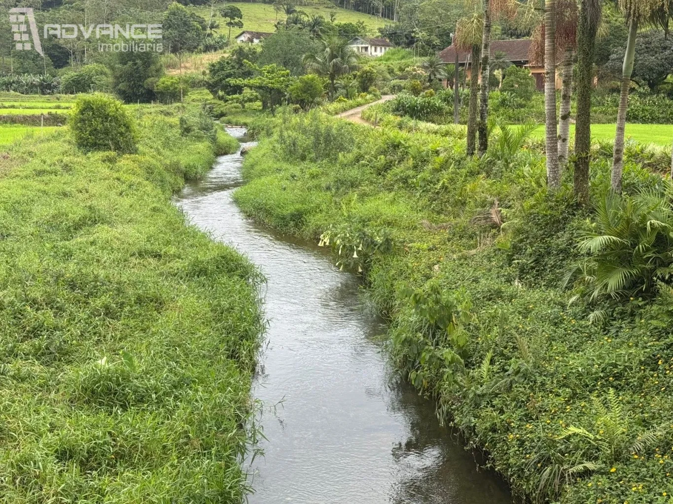 VENDE | Sítio em Ascurra/SC — foto 7