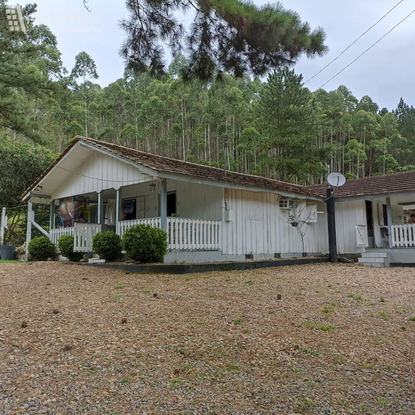 Sito com Casa, 3 Lagoas, Eucalipto e Pinus - foto 1