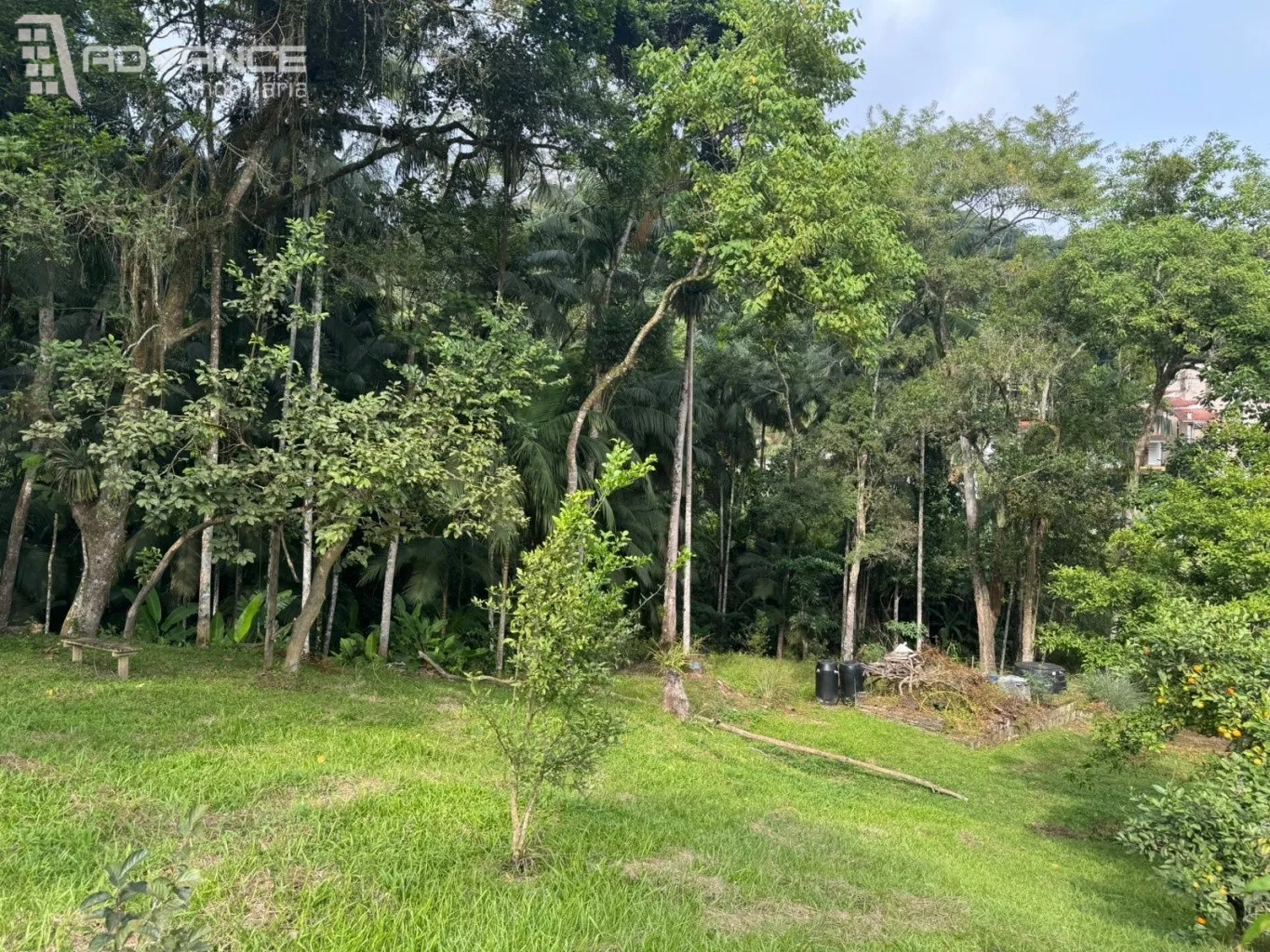 VENDA | Terreno velha central Blumenau (SC) — foto 6