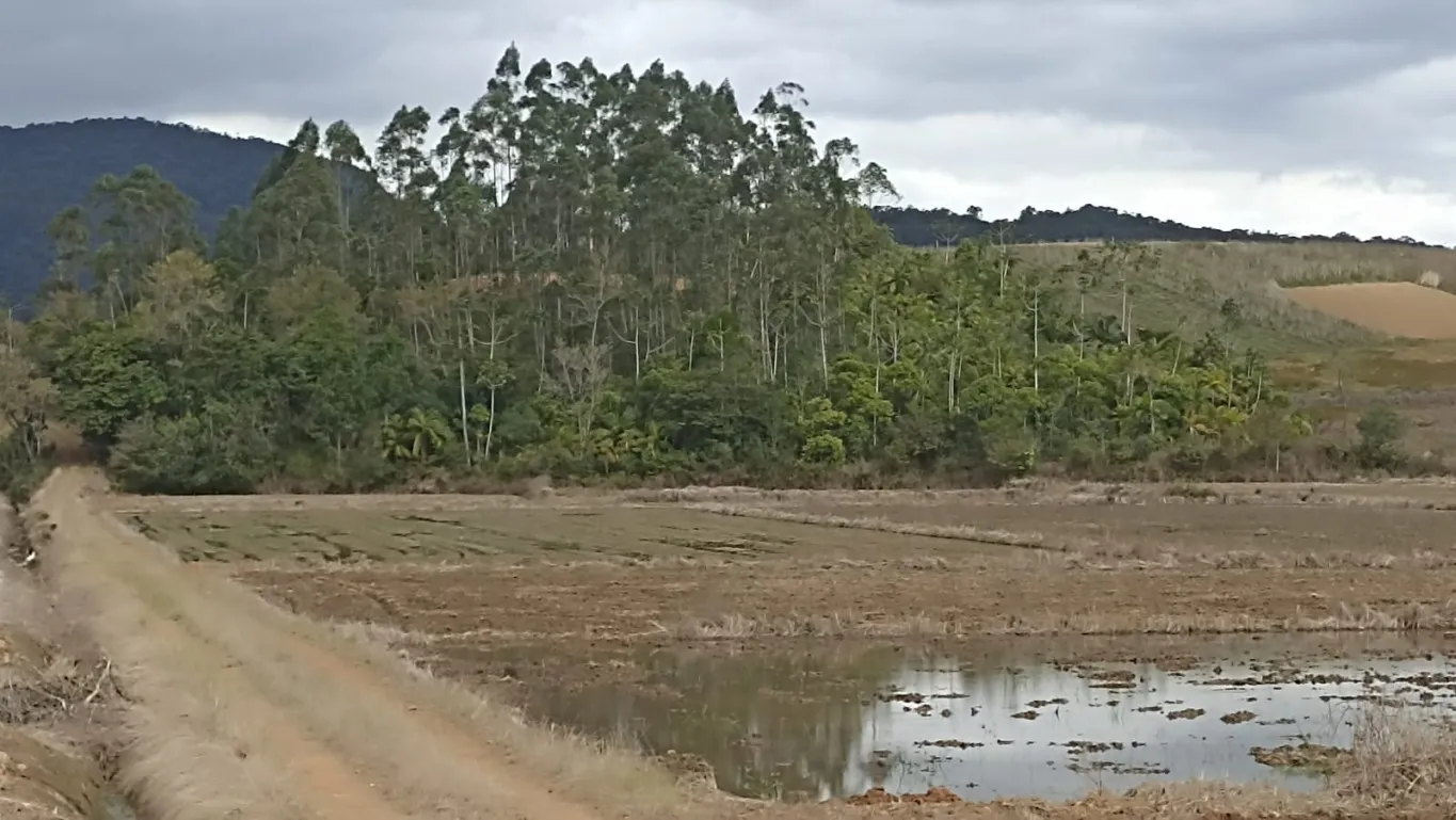Terreno Rural — foto 3