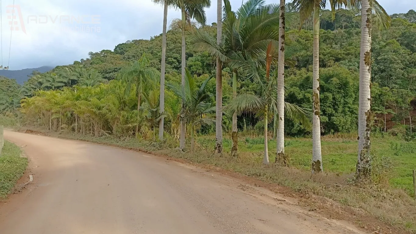 SITIO PARA VENDA EM ASCURRA - foto 1