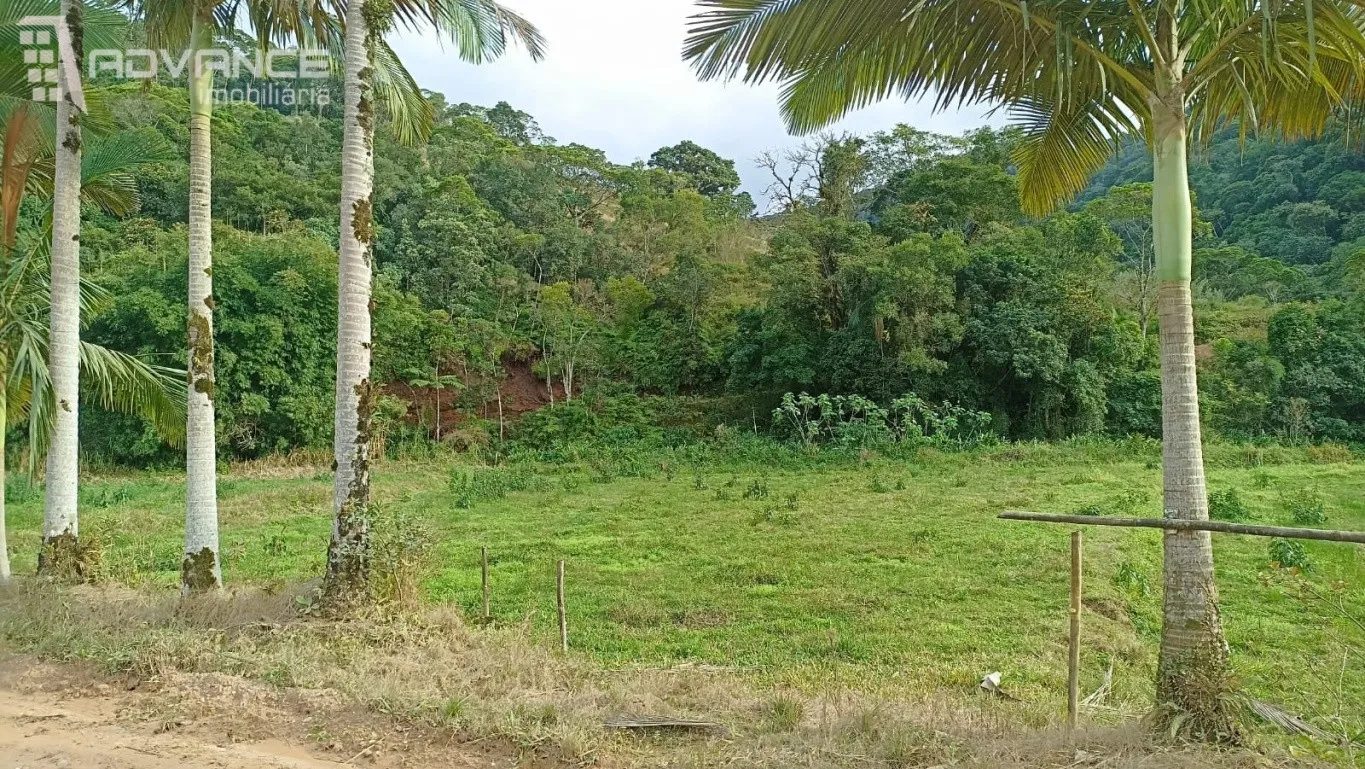 SITIO PARA VENDA EM ASCURRA — foto 2