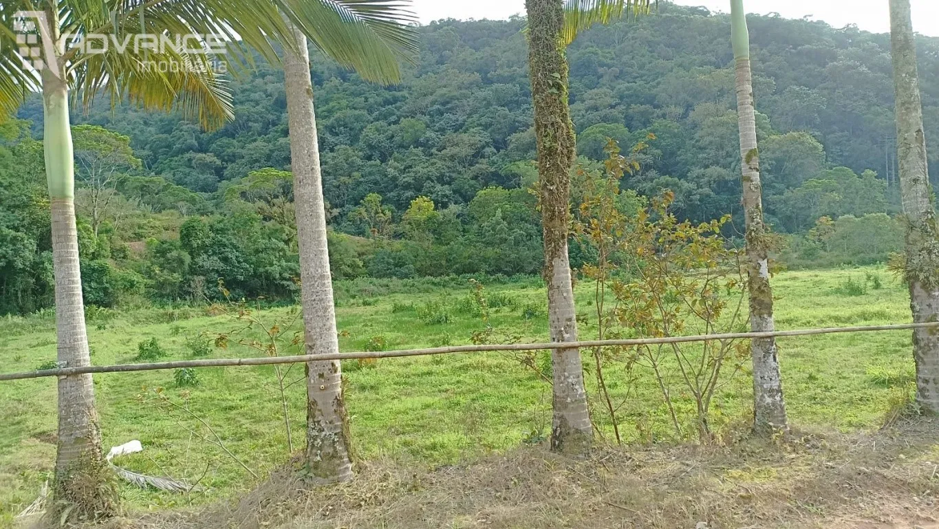 SITIO PARA VENDA EM ASCURRA — foto 3
