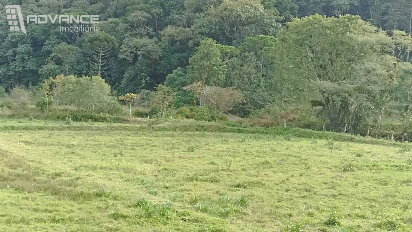 SITIO PARA VENDA EM ASCURRA — foto 6