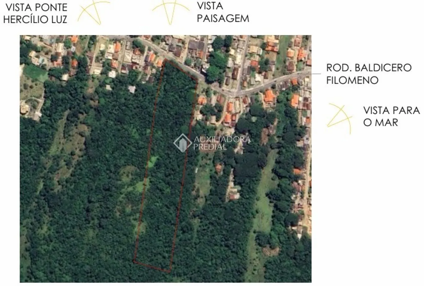 Imóvel - foto 1