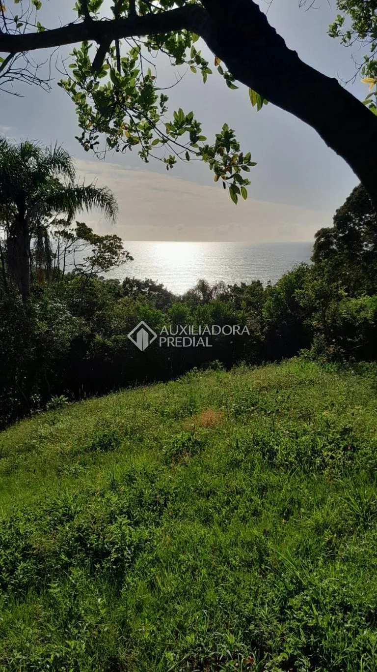 Imóvel - foto 1