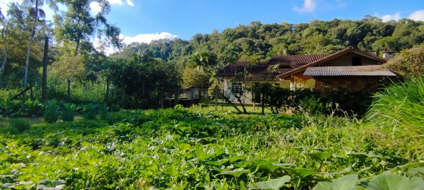 SITIO A VENDA - VILA ITOUPAVA BLUMENAU SC — foto 2
