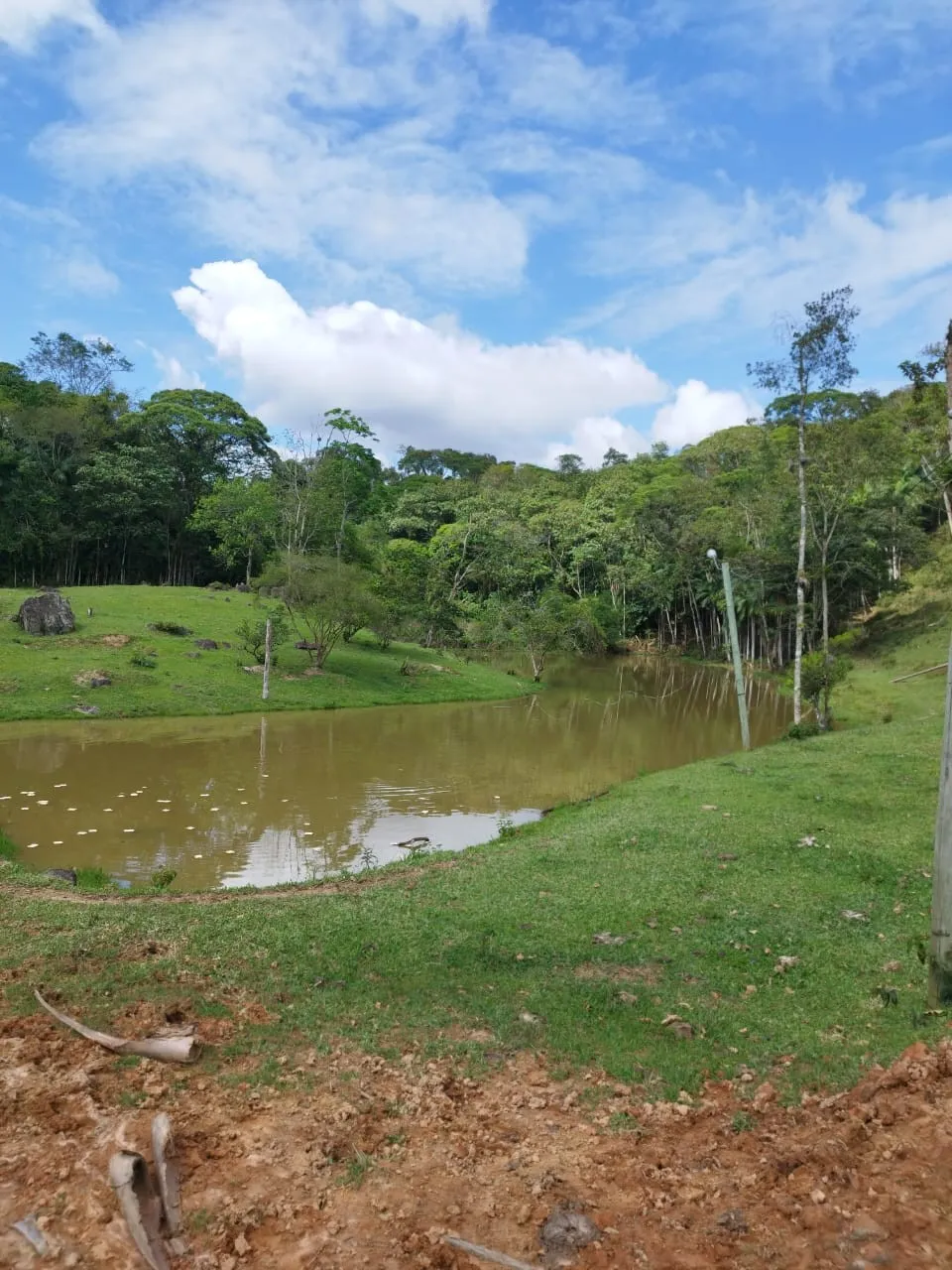 SITIO A VENDA - VILA ITOUPAVA BLUMENAU SC — foto 3