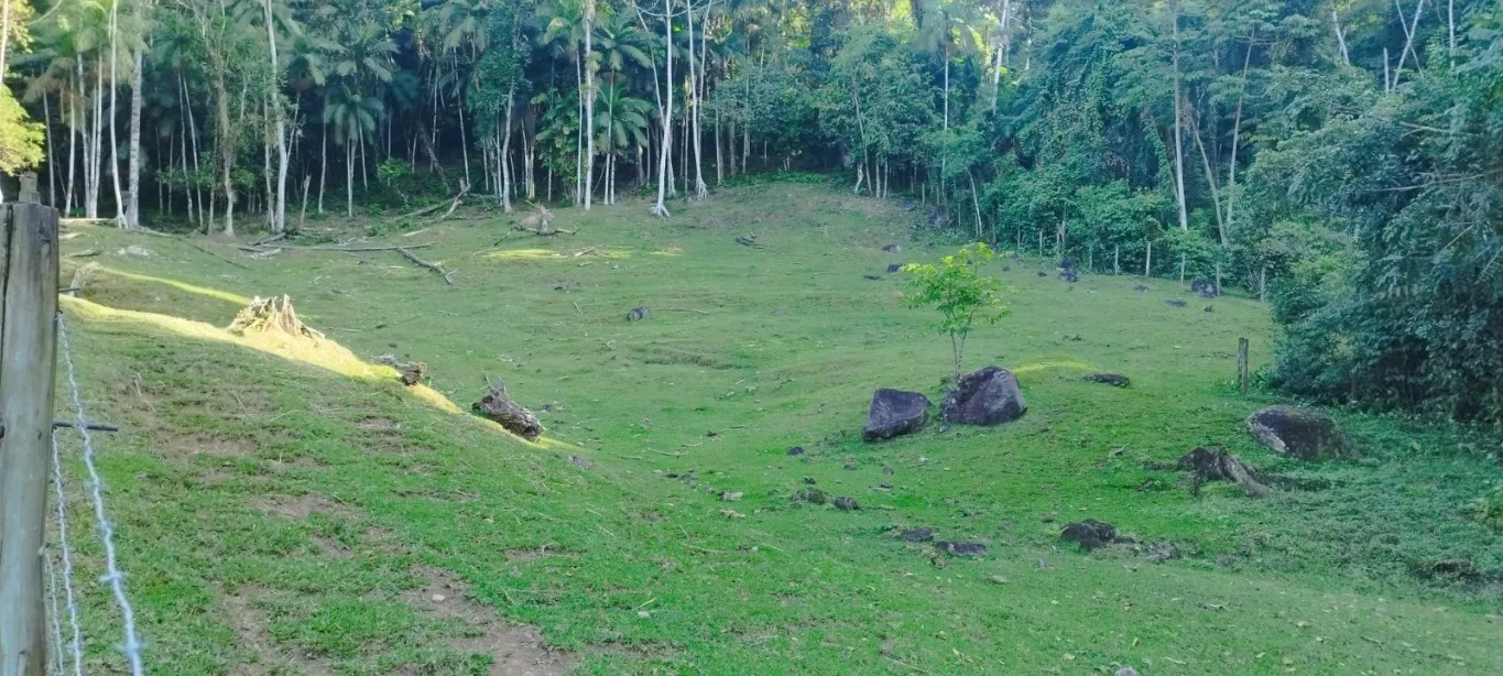 SITIO A VENDA - VILA ITOUPAVA BLUMENAU SC — foto 4