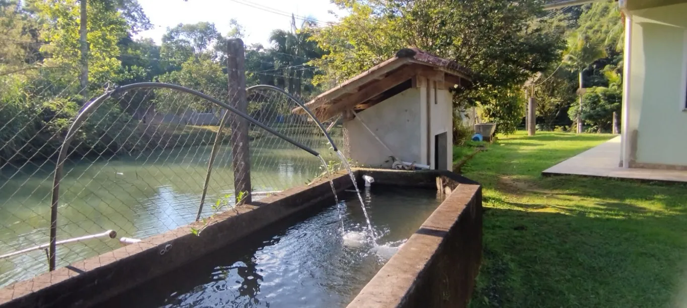 SITIO A VENDA - VILA ITOUPAVA BLUMENAU SC — foto 6