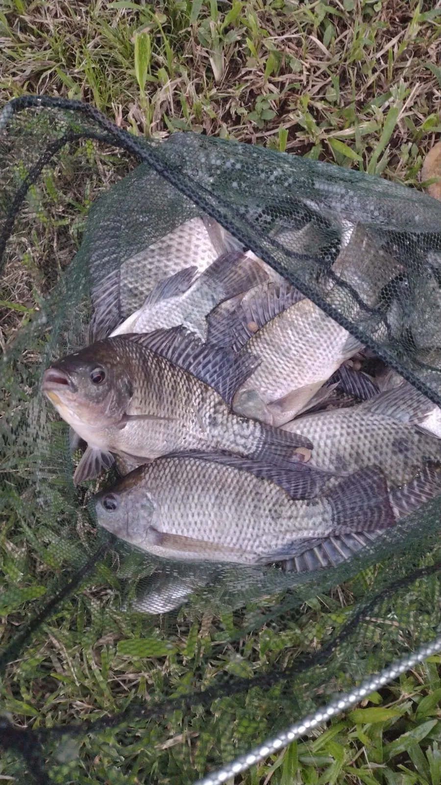 VENDO LINDO SITIO — foto 6