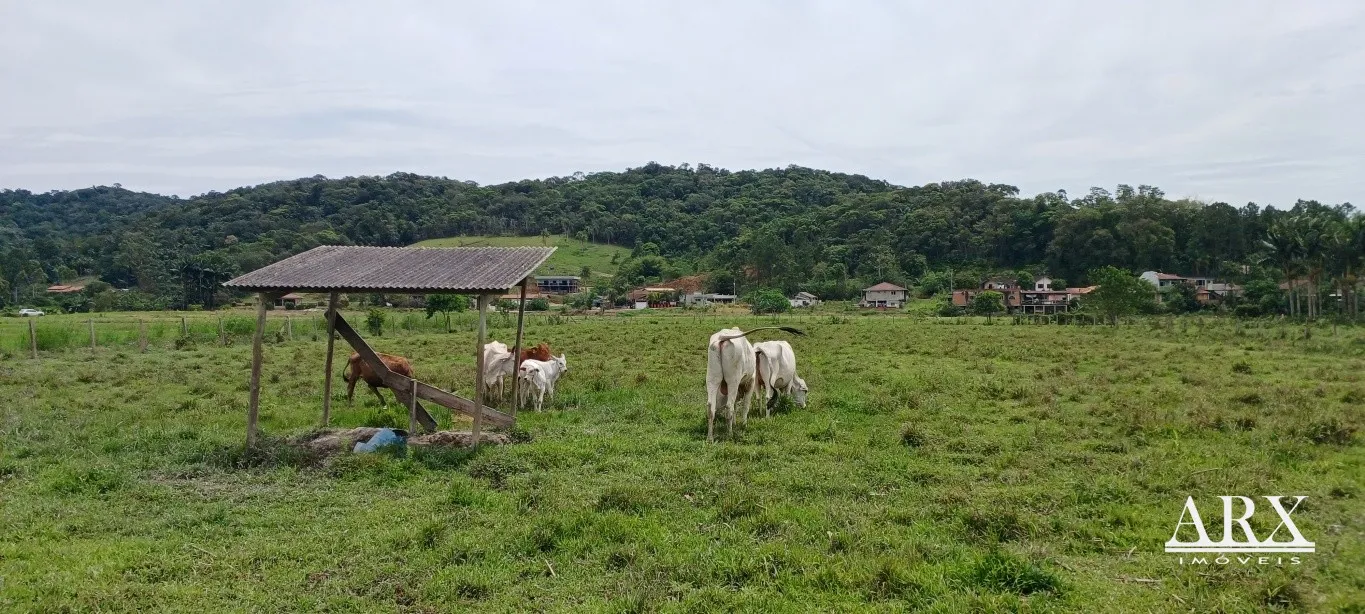 Sítio à Venda em Gaspar, Bairro Figueira, com 16.000m - Aceita Permuta — foto 2