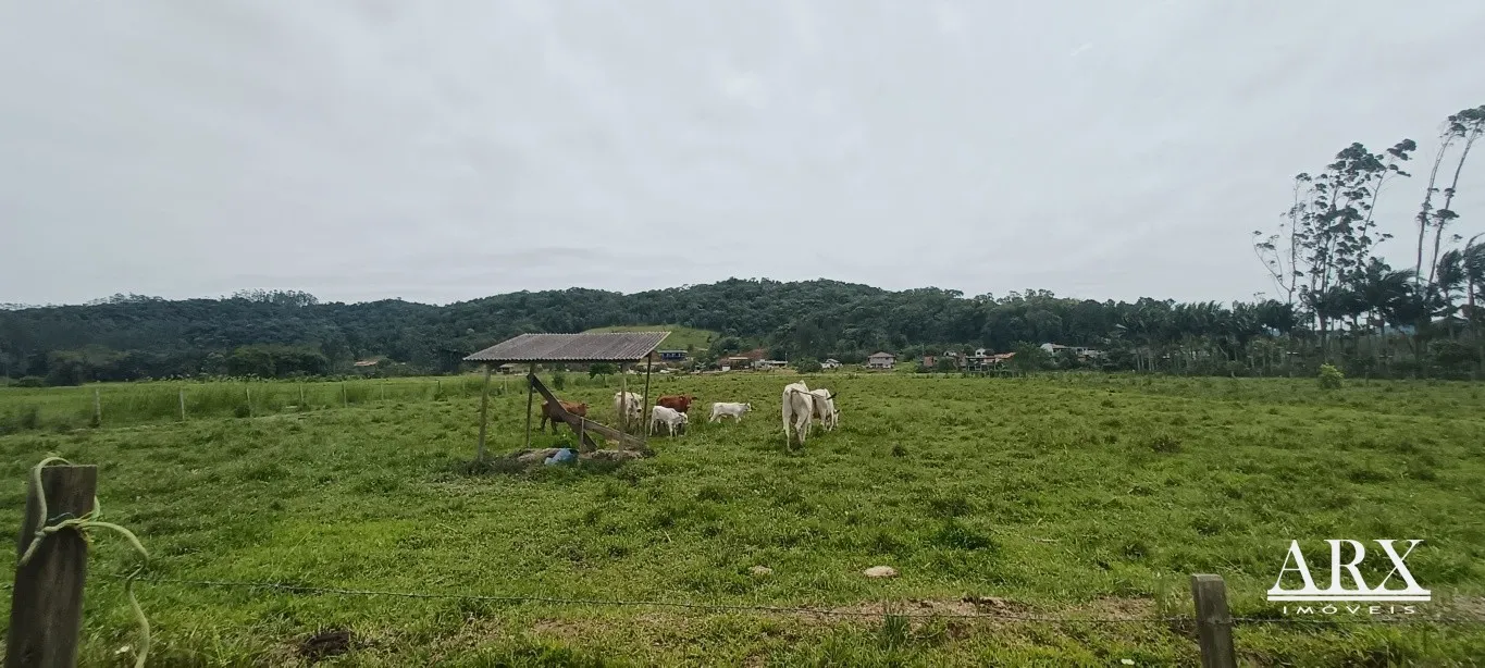 Sítio à Venda em Gaspar, Bairro Figueira, com 16.000m - Aceita Permuta — foto 3