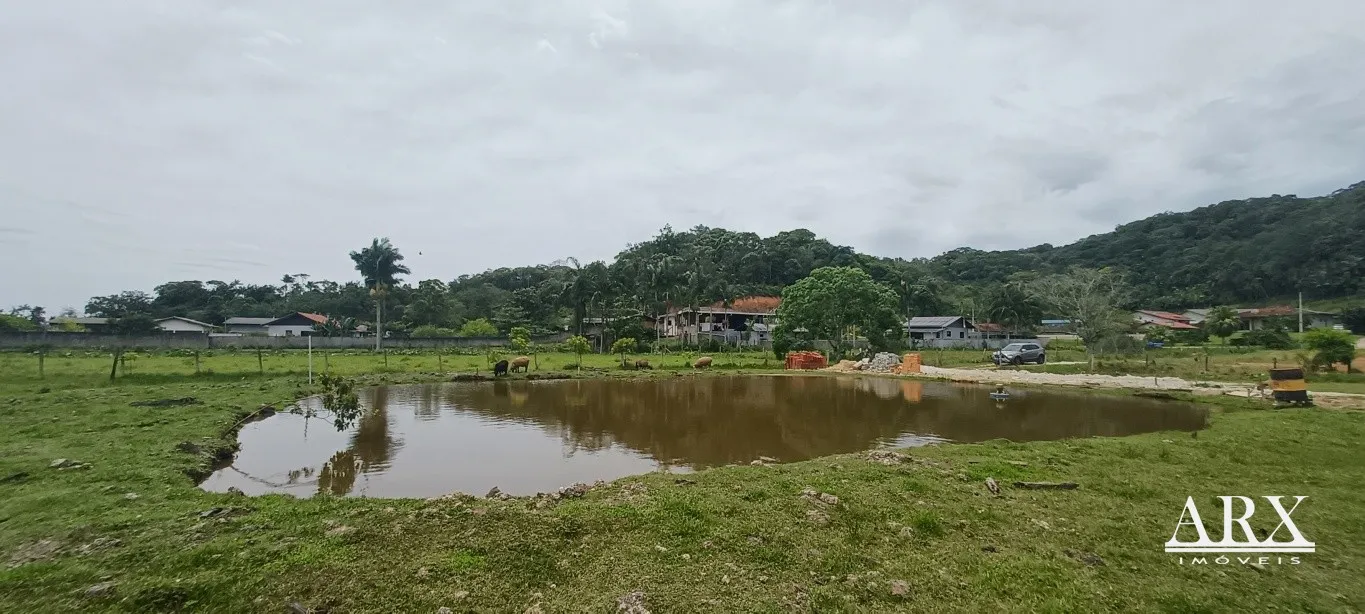 Sítio à Venda em Gaspar, Bairro Figueira, com 16.000m - Aceita Permuta — foto 6