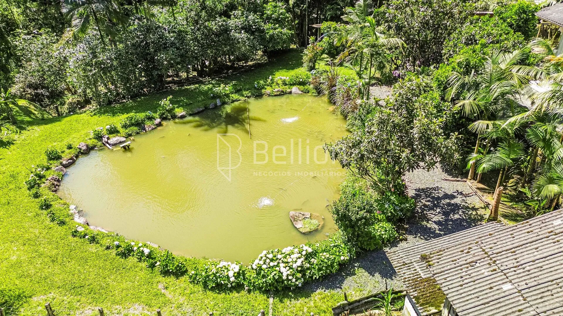 Sítio com lago e riacho em Rio dos Cedros — foto 2
