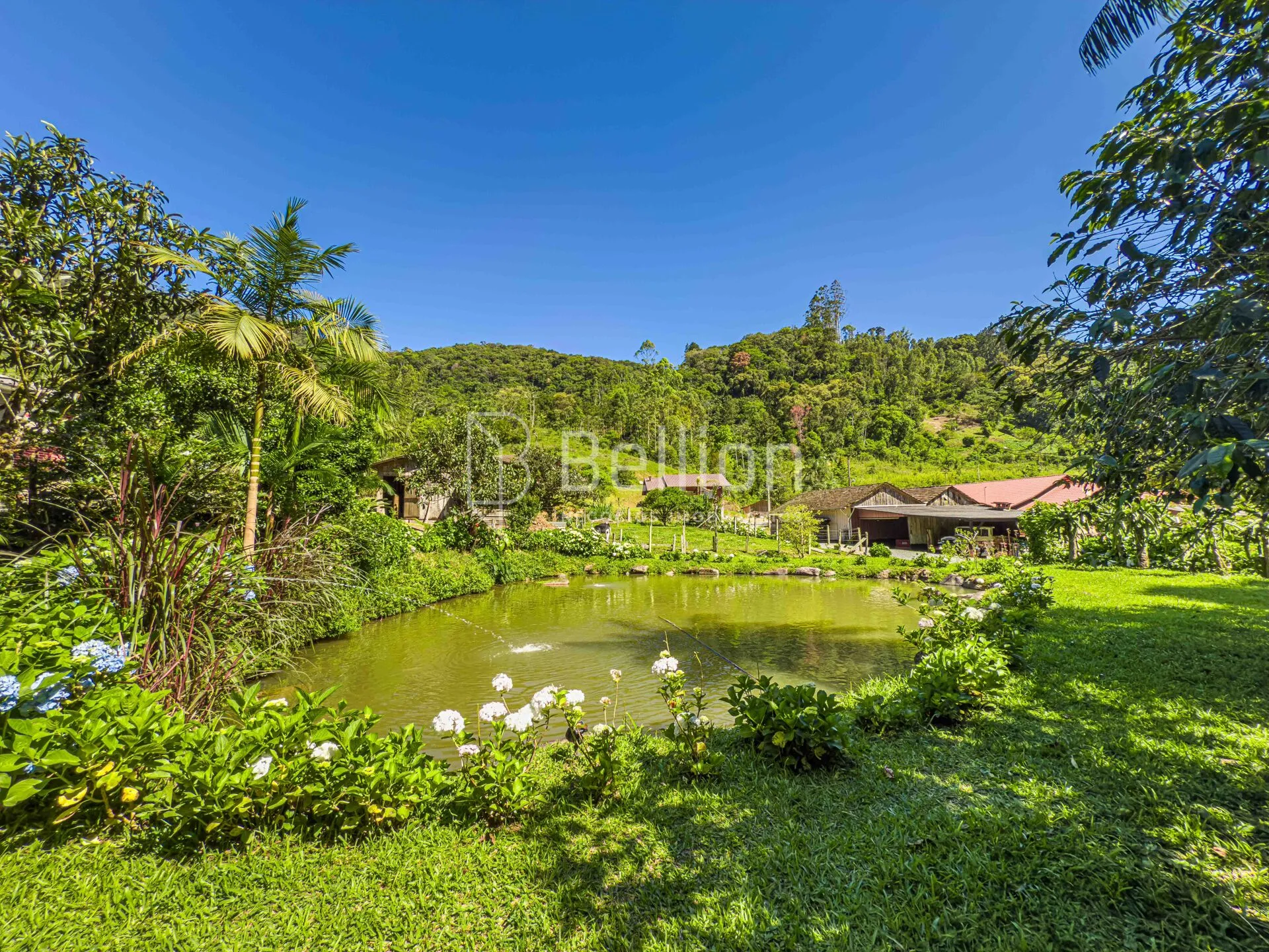 Sítio com lago e riacho em Rio dos Cedros — foto 3