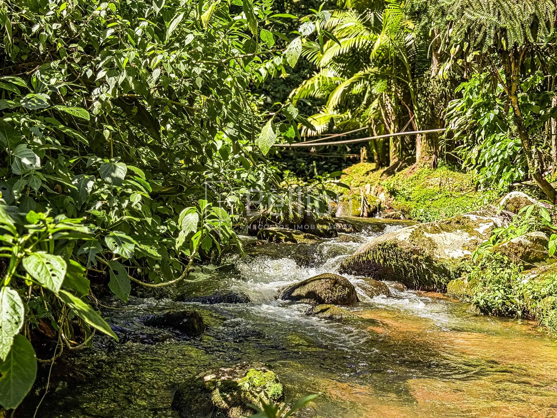 Sítio com lago e riacho em Rio dos Cedros — foto 4