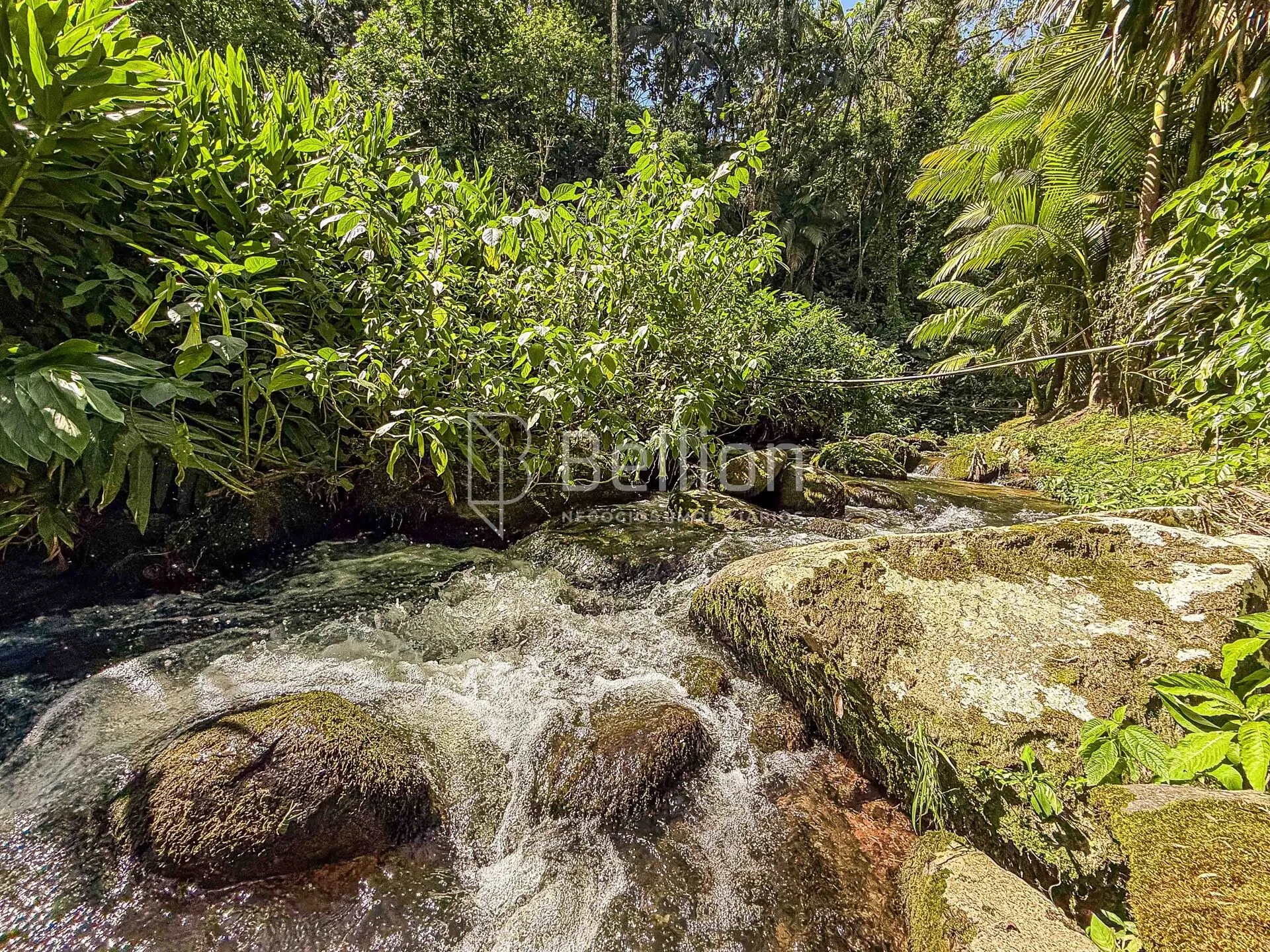 Sítio com lago e riacho em Rio dos Cedros — foto 5