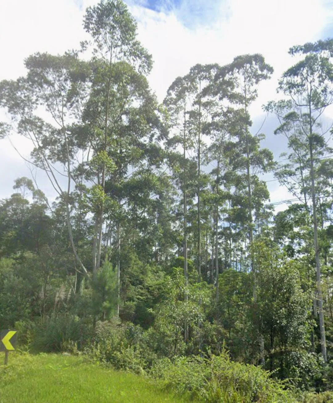 TERRENO RURAL A VENDA - 35.180M2 - SAO BENTO DO SUL SC — foto 2