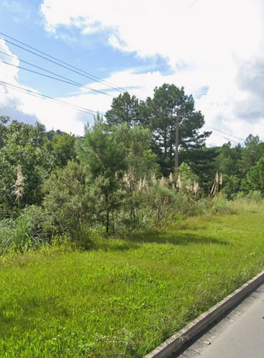 TERRENO RURAL A VENDA - 35.180M2 - SAO BENTO DO SUL SC — foto 3