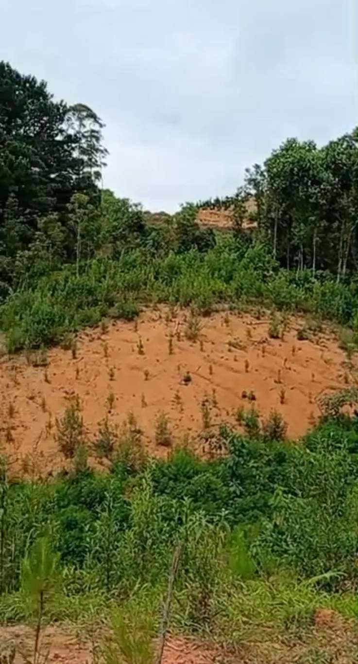 TERRENO RURAL A VENDA - 35.180M2 - SAO BENTO DO SUL SC — foto 4