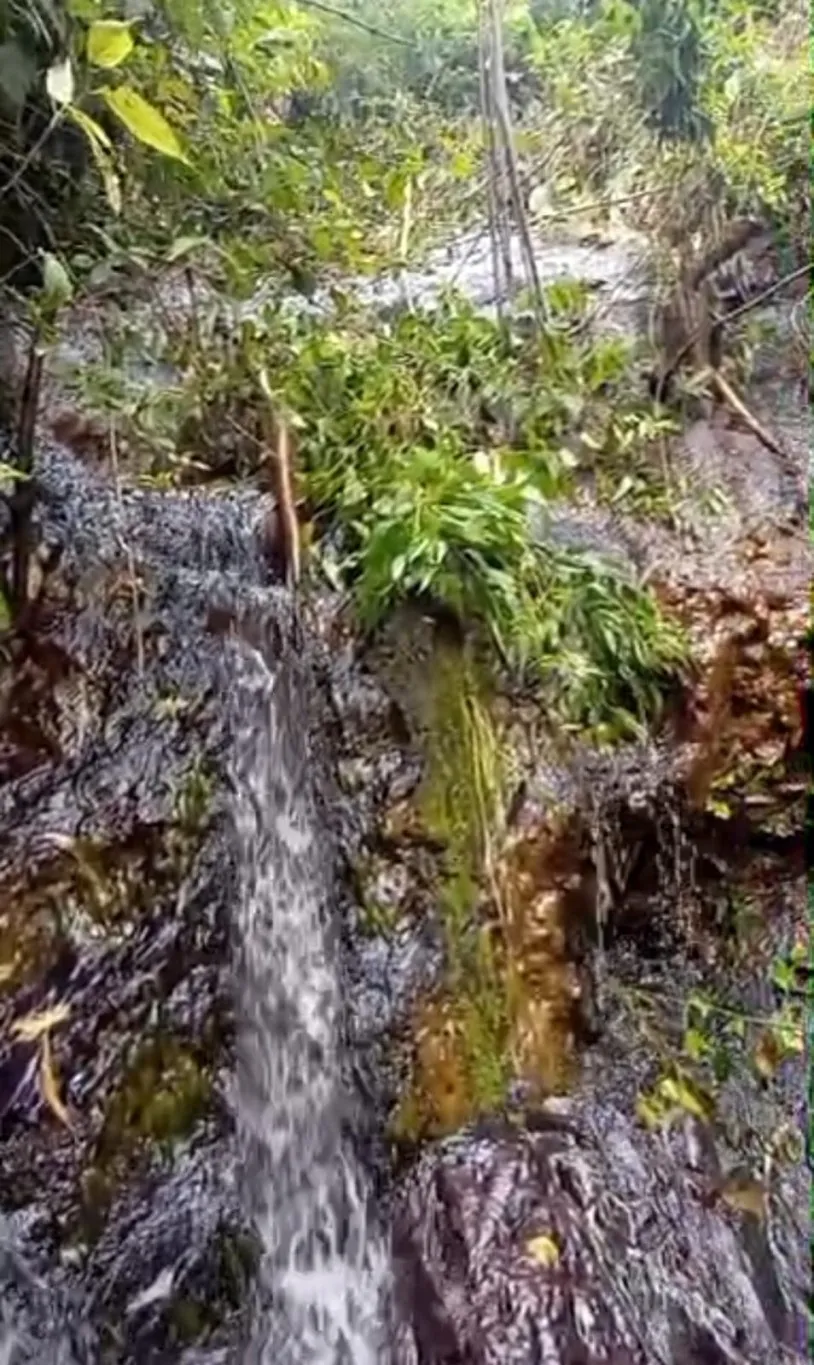 TERRENO RURAL A VENDA - 35.180M2 - SAO BENTO DO SUL SC — foto 6