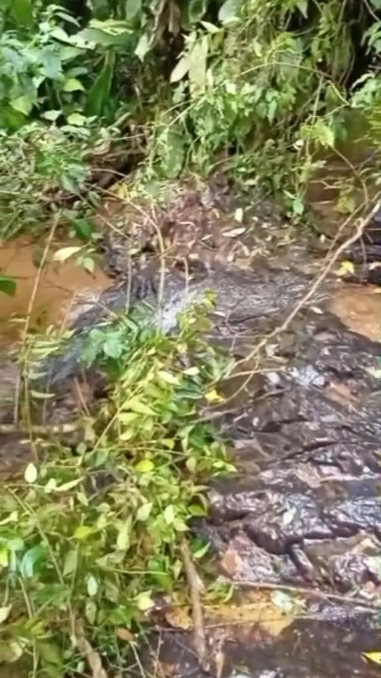 TERRENO RURAL A VENDA - 35.180M2 - SAO BENTO DO SUL SC — foto 7