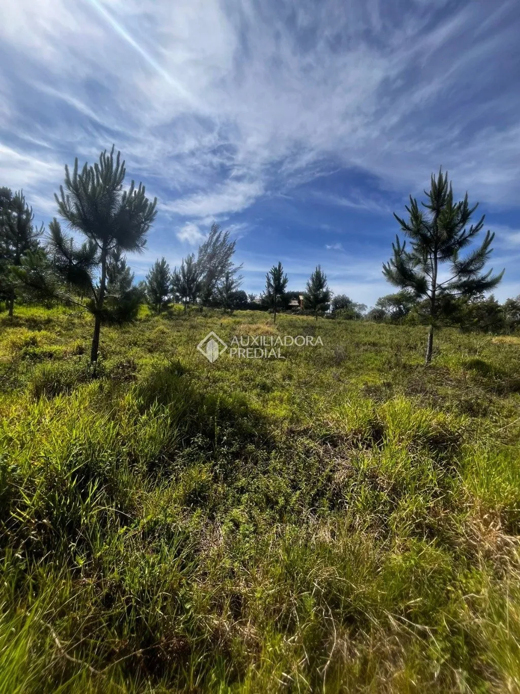 Imóvel — foto 5