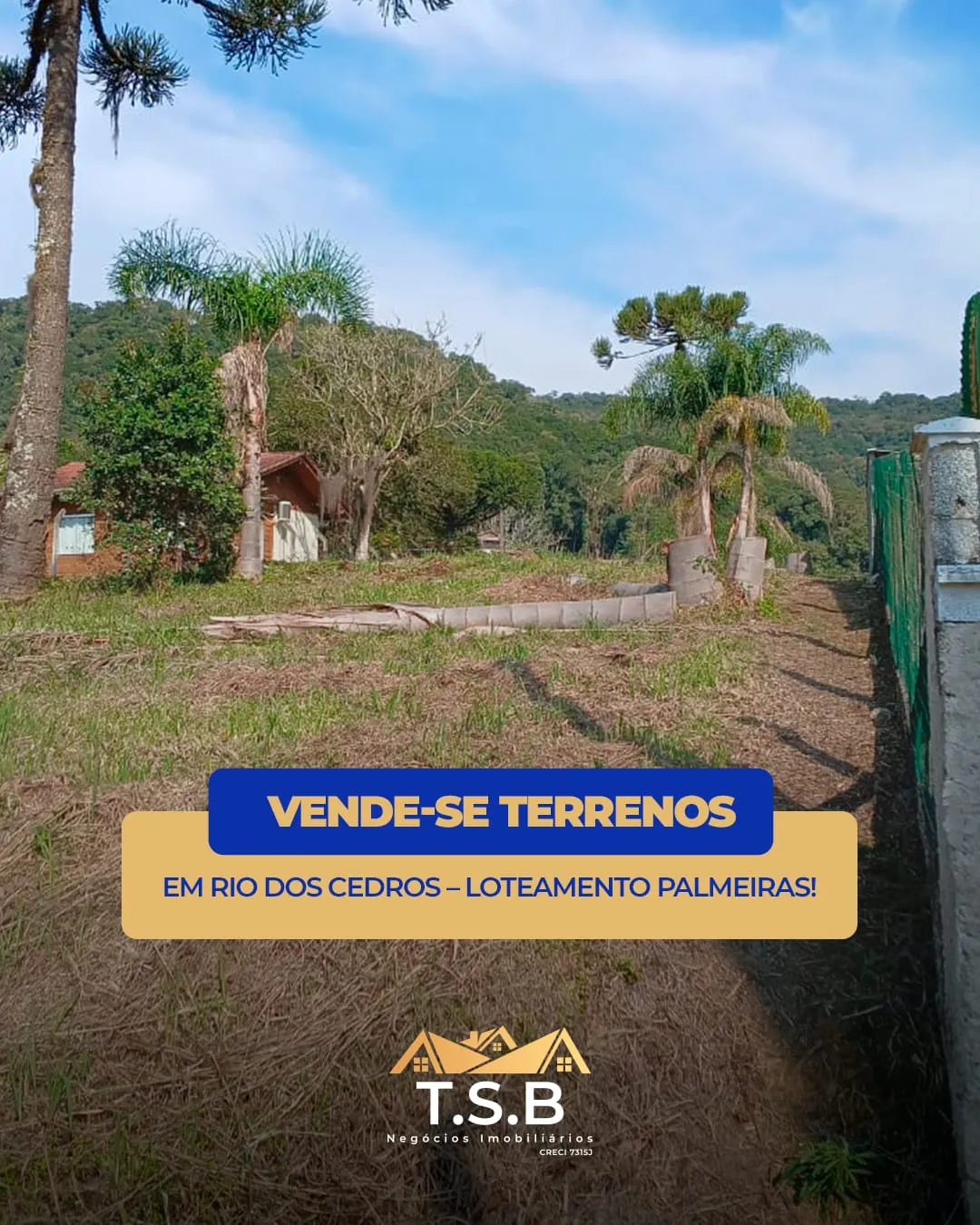 VENDO TERRENOS - foto 1