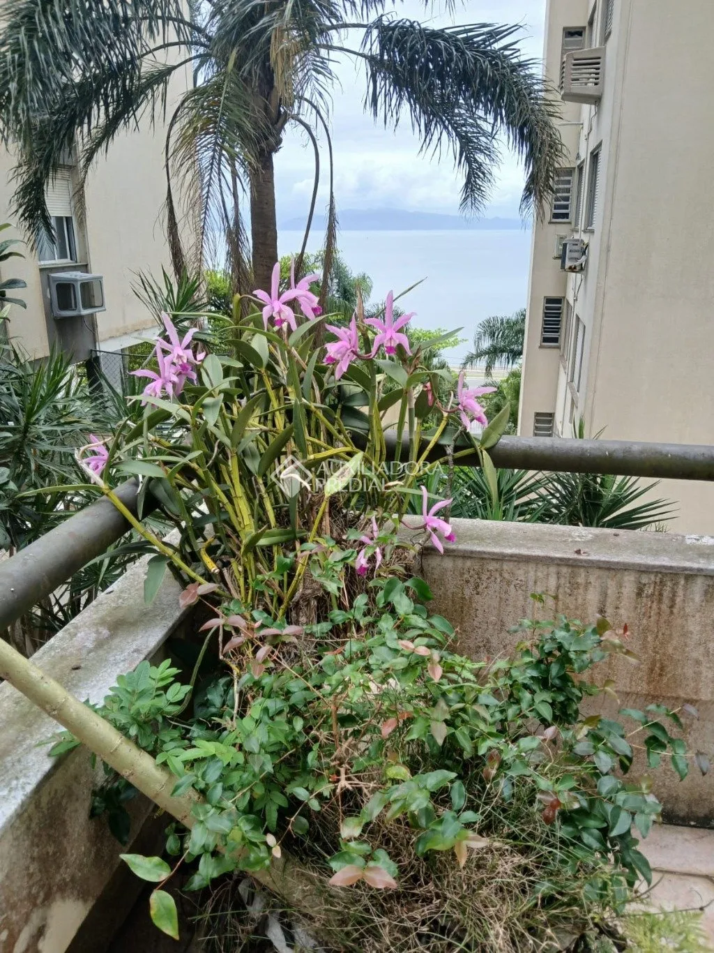 Imóvel — foto 3