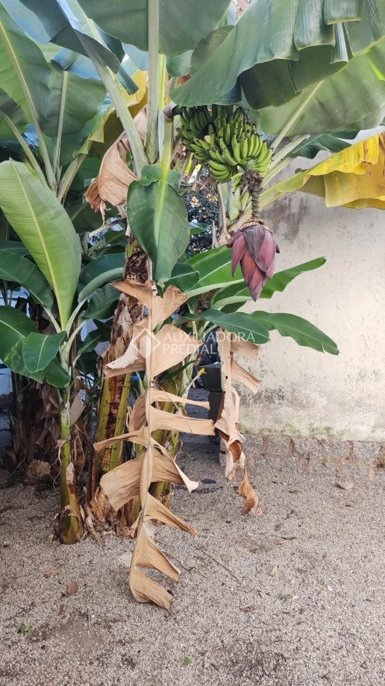 Imóvel — foto 4