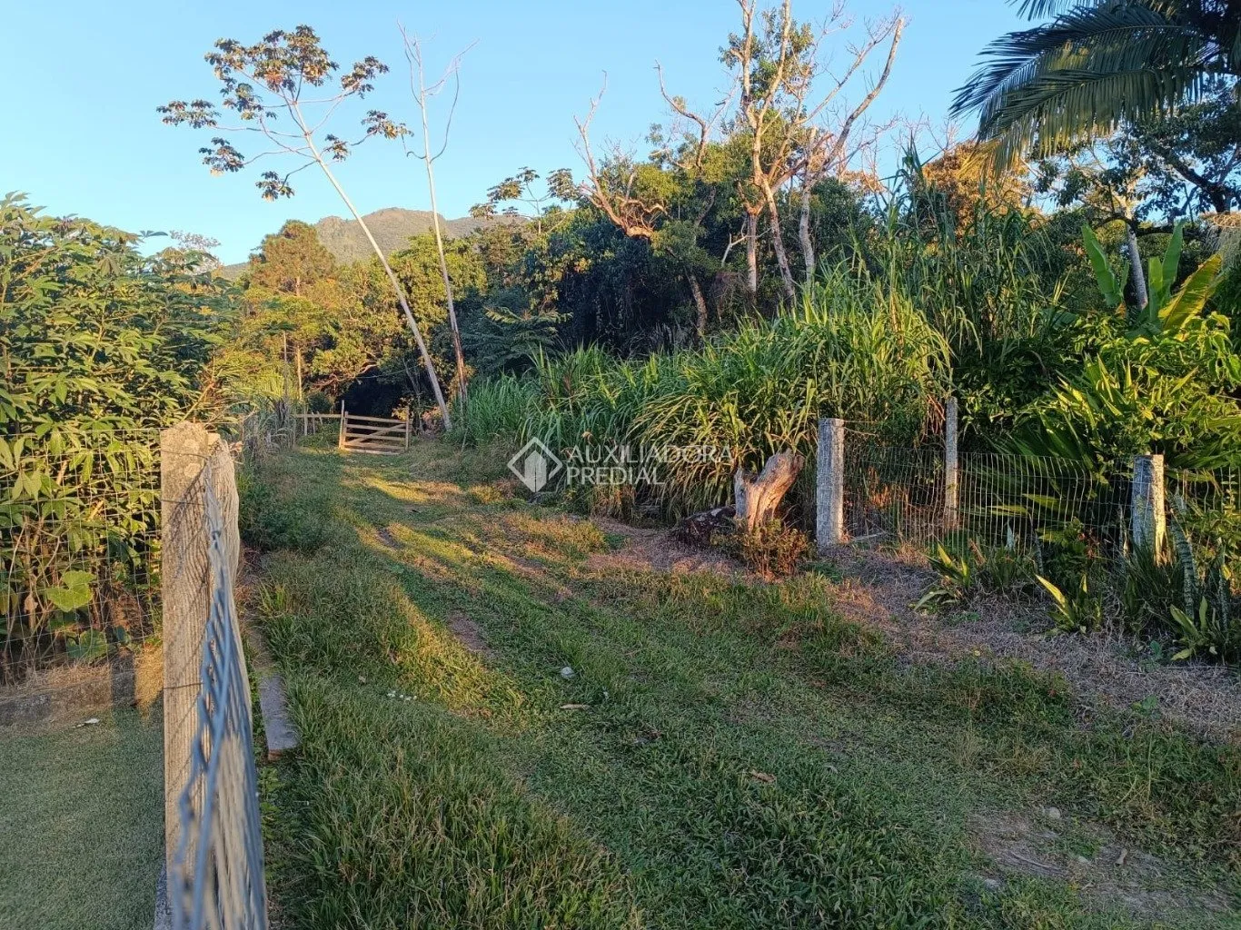 Imóvel — foto 4