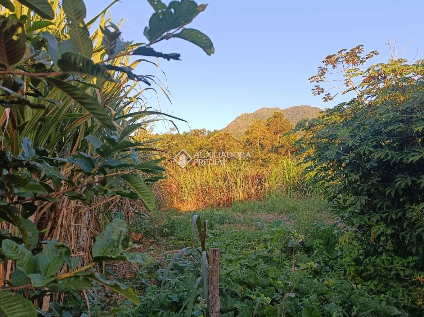 Imóvel — foto 5