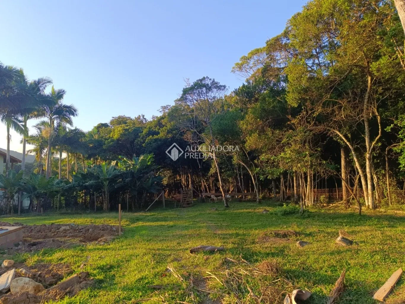 Imóvel — foto 6
