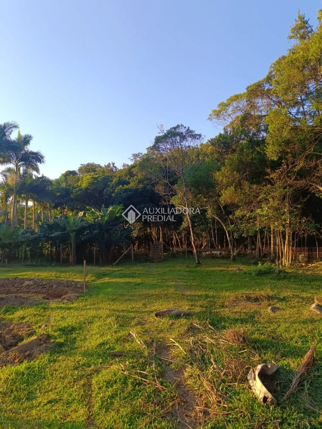 Imóvel — foto 7